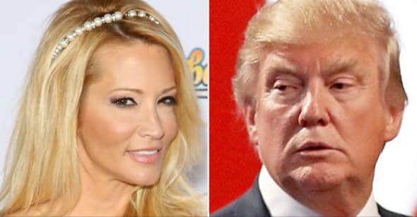 Another Sexual Harassment Allegation Against Donald Trump. This Time by An Adult Actress.