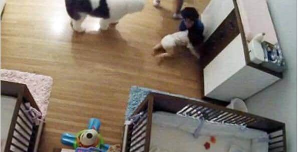 Must watch: A Video of a Kid Miraculously saving Baby Brother's life
