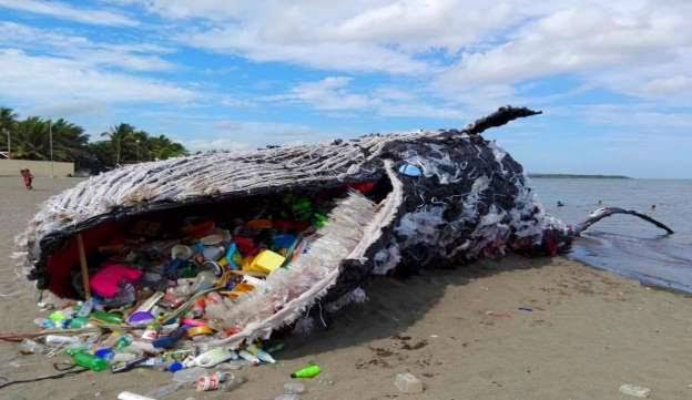 Earth is choking under plastic waste